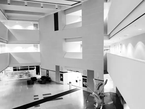 Hivelocity - New York 1